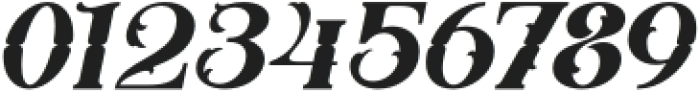 BlackerGothic-Italic otf (900) Font OTHER CHARS
