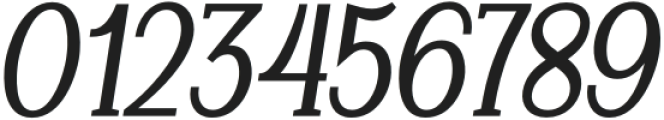Blackers Bold Italic otf (700) Font OTHER CHARS