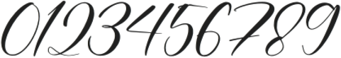 Blink Signature otf (400) Font OTHER CHARS