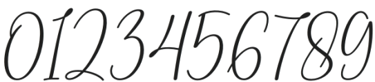 BloomingGardenItalic-Regular otf (400) Font OTHER CHARS