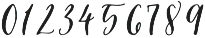 Blue Pumpkin Script otf (400) Font OTHER CHARS