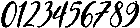 Blueberry Regular otf (400) Font OTHER CHARS