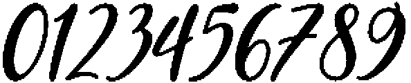 Blueberry Regular ttf (400) Font OTHER CHARS