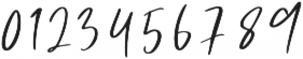 Blueberrys Signature ttf (400) Font OTHER CHARS