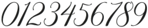 Blushline Script Regular otf (400) Font OTHER CHARS