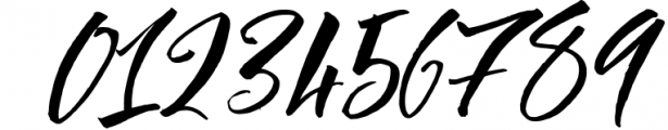 Blomming - Brush Font 1 Font OTHER CHARS