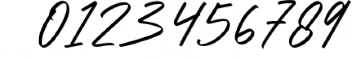 Blondey Rich Signature Script Font 1 Font OTHER CHARS