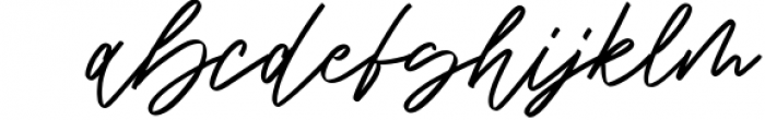 Blondey Rich Signature Script Font Font LOWERCASE