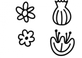 Bloomdings - abstract floral dingbats! Font OTHER CHARS