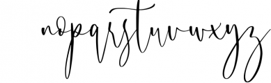 Blushyland - Modern Calligraphy Font Font LOWERCASE