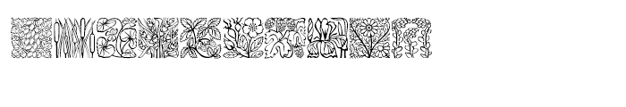 Blooming Meadow Day Font OTHER CHARS