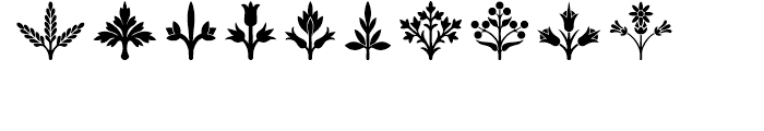 Blooming Ornaments Font OTHER CHARS