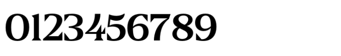 Blaak Regular Font OTHER CHARS