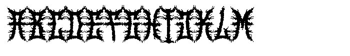 Black Grove FONT