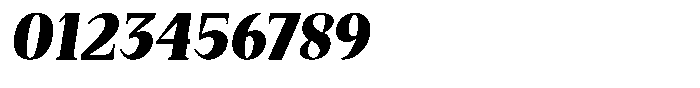 Bleshil Black Condensed Slant Font OTHER CHARS