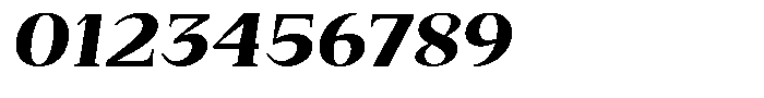 Bleshil Black Expanded Slant L-T Font OTHER CHARS