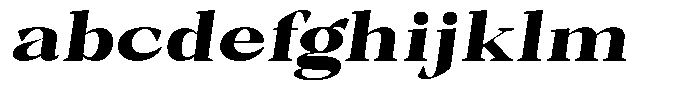 Bleshil Black Expanded Slant L-T FONT