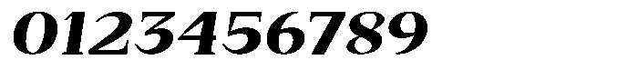Bleshil Black Expanded Slant Font OTHER CHARS
