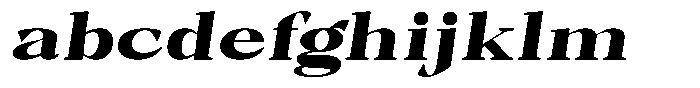 Bleshil Black Expanded Slant FONT