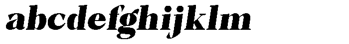Bleshil Black Semi Condensed Slant L-T FONT