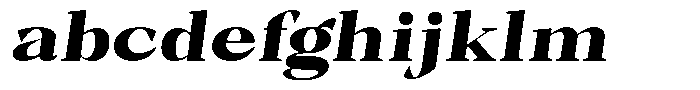 Bleshil Black Semi Expanded Slant L-T FONT