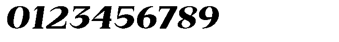 Bleshil Black Semi Expanded Slant Font OTHER CHARS