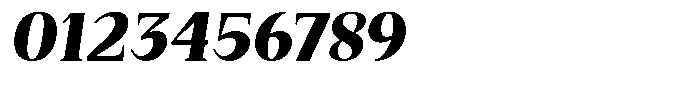 Bleshil Black Slant L-T Font OTHER CHARS