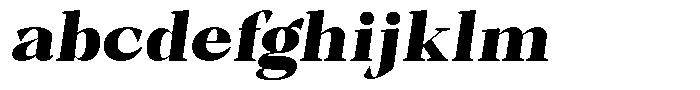 Bleshil Black Slant L-T FONT