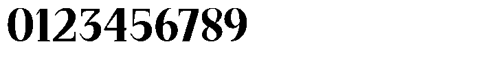 Bleshil Bold Condensed L-T Font OTHER CHARS
