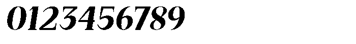Bleshil Bold Semi Condensed Slant Font OTHER CHARS