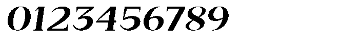 Bleshil Bold Semi Expanded Slant Font OTHER CHARS