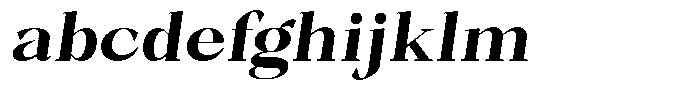Bleshil Bold Slant L-T FONT