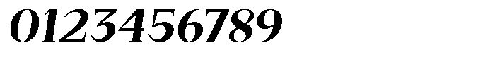 Bleshil Bold Slant Font OTHER CHARS