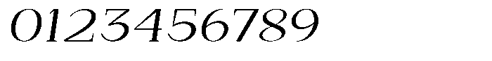 Bleshil Expanded Slant Font OTHER CHARS