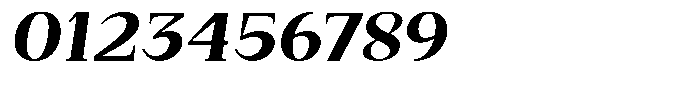 Bleshil Extra Bold Semi Exp Slt L-T Font OTHER CHARS