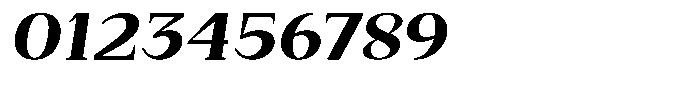 Bleshil Extra Bold Semi Expanded Slant Font OTHER CHARS