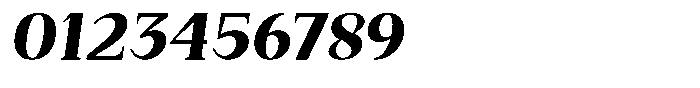 Bleshil Extra Bold Slant Font OTHER CHARS