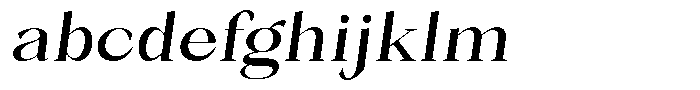 Bleshil Medium Slant L-T FONT