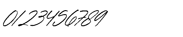 Blynkas Scripte Italic Italic Font OTHER CHARS