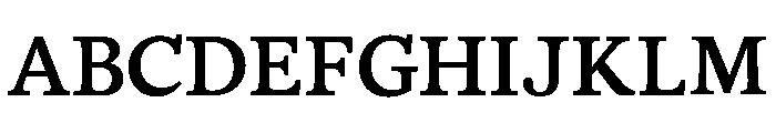 BL Office Times 86d41b4a Font UPPERCASE