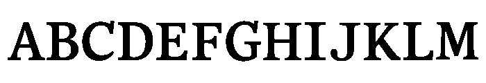 BL Office Times SM 79e21e08 Font UPPERCASE