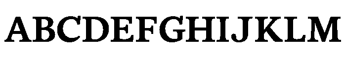BLOfficeTimesTRIAL Bold Instance Font UPPERCASE