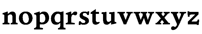 BLOfficeTimesTRIAL Bold Instance Font LOWERCASE