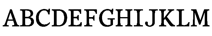 BLOfficeTimesTRIAL MediumSemi Mono Instance Font UPPERCASE