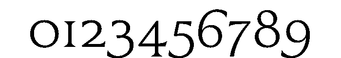 BLOrchid Light Font OTHER CHARS