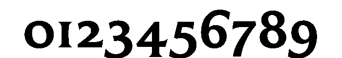 BLOrchid SemiBold 695f5311 Font OTHER CHARS