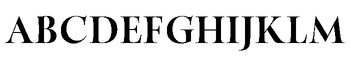 BLSometimesNeue Bold Font UPPERCASE