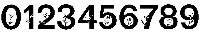 BN Blooms Regular otf (400) Font OTHER CHARS