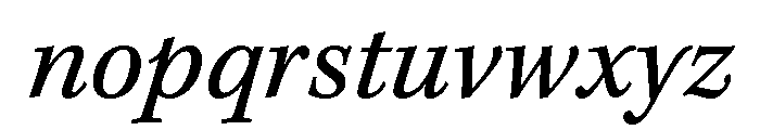 Bodoni Pt Variable Italic Font LOWERCASE