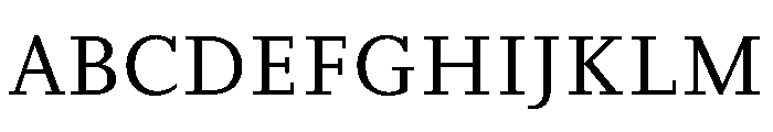 Bodoni Pt Variable Light Font UPPERCASE